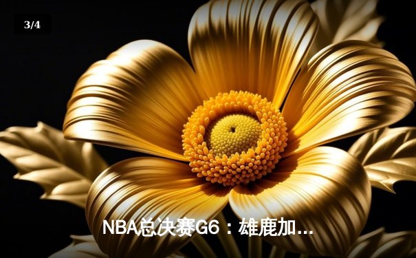 NBA总决赛G6：雄鹿加时险胜太阳，字母哥狂砍50分带队夺冠 - 3